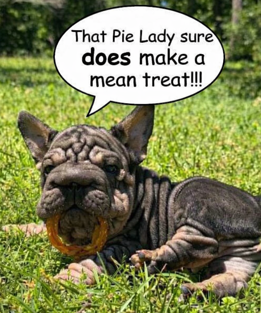 Frenchie-approved treats