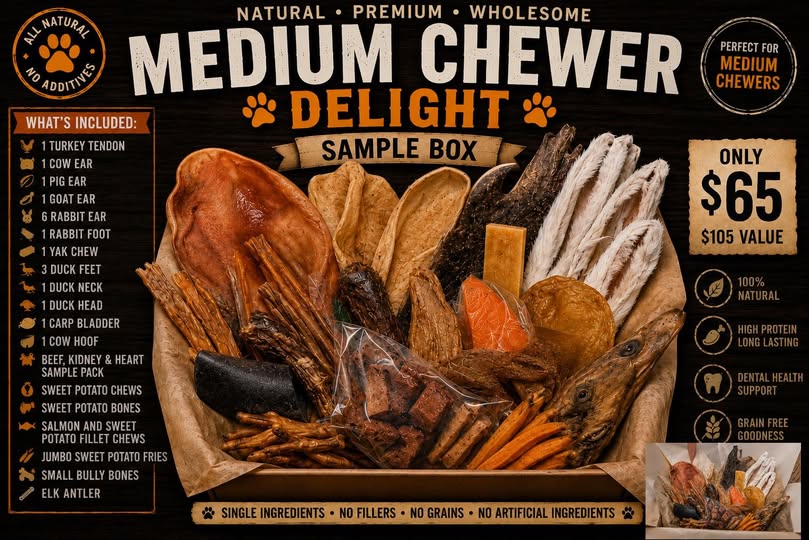 Specialty pet finds