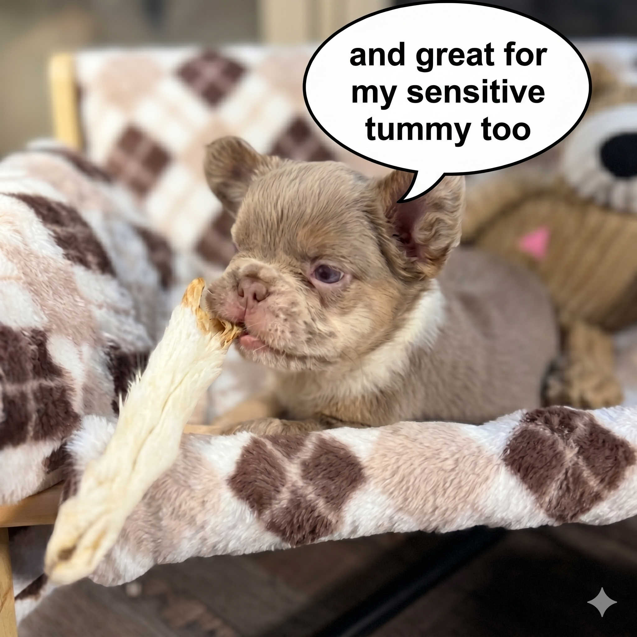 Happy pup with treats